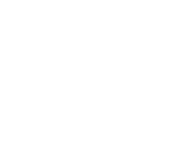 Travel Now Madeira